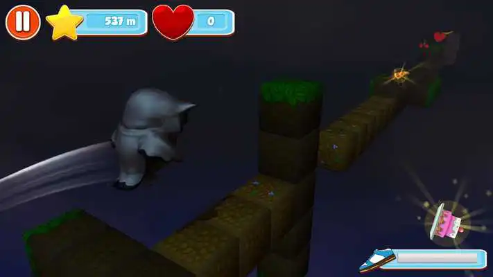Play Pet Run