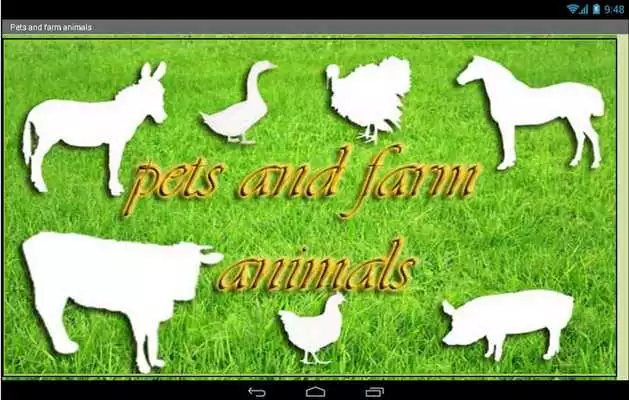 Play Pets and farm animals