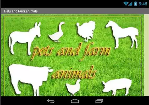 Play Pets and farm animals