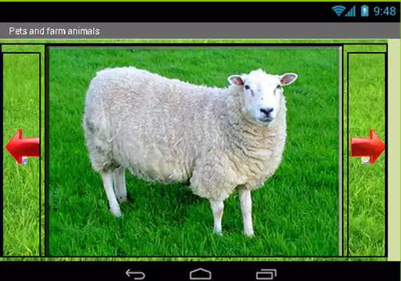 Play Pets and farm animals