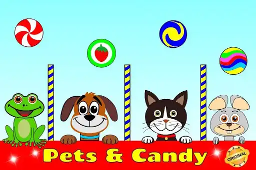 Play Pets  Candy. Cute animals