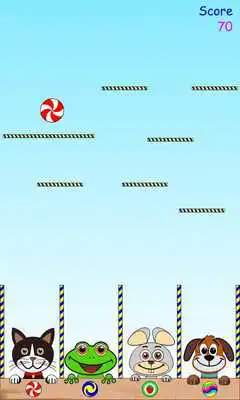 Play Pets  Candy. Cute animals