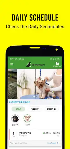 Play Petsfolio Client  and enjoy Petsfolio Client with UptoPlay