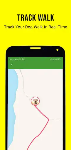 Play Petsfolio Client as an online game Petsfolio Client with UptoPlay