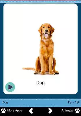 Play Pets for Toddlers Play Pets for Toddlers