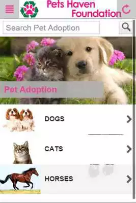 Play Pets Haven