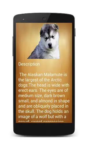 Play Pets Info(Complete) as an online game Pets Info(Complete) with UptoPlay