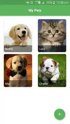 Play Pets Manager