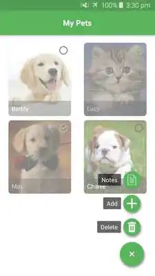 Play Pets Manager