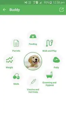 Play Pets Manager