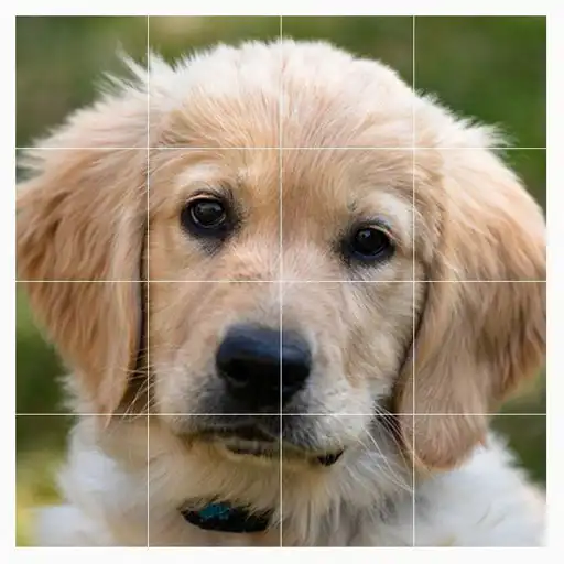 Play Pets Memo Puzzle Game APK
