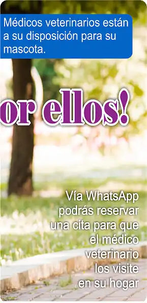 Play Pets Perú Club as an online game Pets Perú Club with UptoPlay