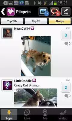 Play Pets: Pics of your Cat or Dog