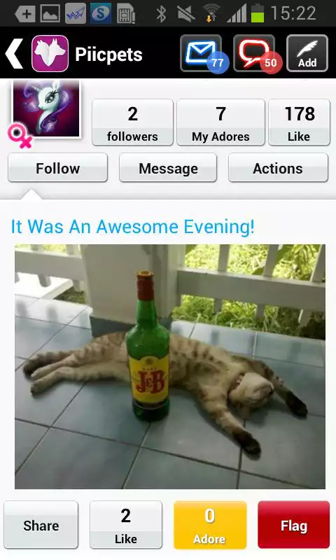 Play Pets: Pics of your Cat or Dog