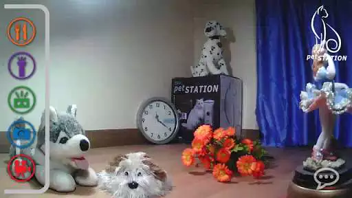 Play petSTATION
