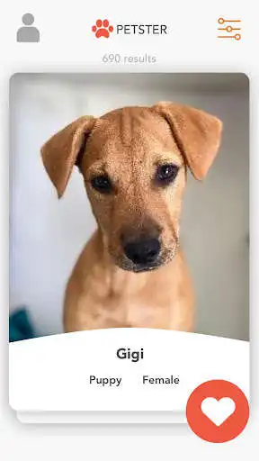 Play PETSTER Play PETSTER