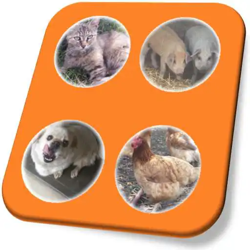 Play Pet Stroking Demo APK Play Pet Stroking Demo APK