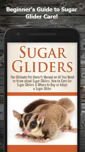 Play Pet Sugar Glider Care Guide  and enjoy Pet Sugar Glider Care Guide with UptoPlay