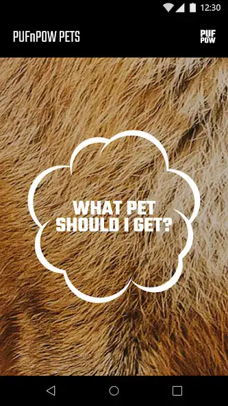 Play Pets - What pet should I get? and enjoy Pets - What pet should I get? with UptoPlay Play Pets - What pet should I get? and enjoy Pets - What pet should I get? with UptoPlay