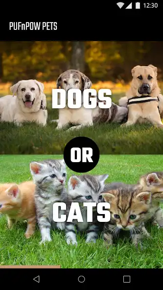 Play Pets - What pet should I get? as an online game online Pets - What pet should I get? with UptoPlay Play Pets - What pet should I get? as an online game Pets - What pet should I get? with UptoPlay