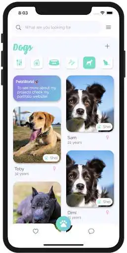 Play PetsWorld Demo  and enjoy PetsWorld Demo with UptoPlay