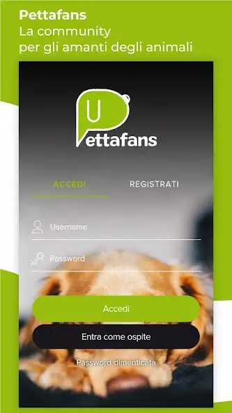 Play Pettafans  and enjoy Pettafans with UptoPlay