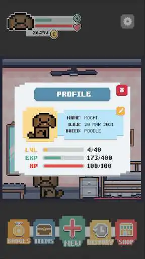 Play Pet Treck as an online game Pet Treck with UptoPlay