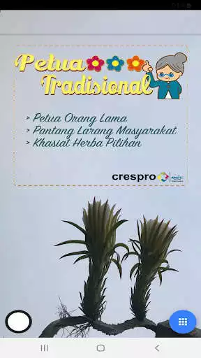 Play Petua Tradisional  and enjoy Petua Tradisional with UptoPlay