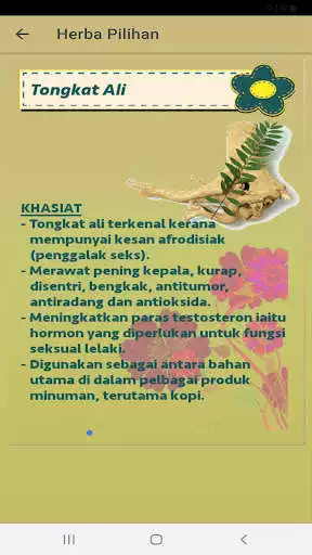 Play Petua Tradisional as an online game Petua Tradisional with UptoPlay