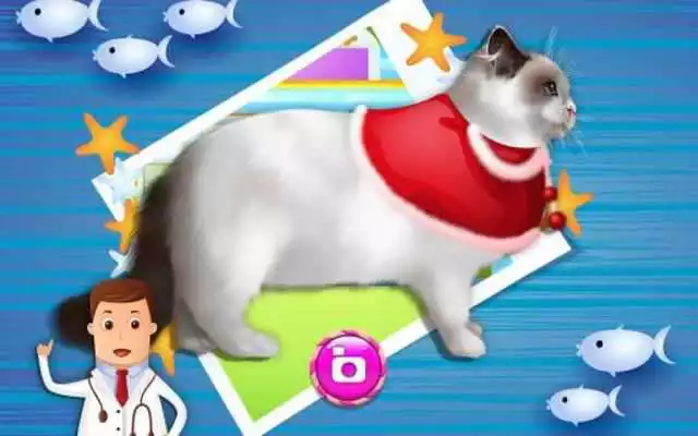 Play Pet Vet Dr - Animals Hospital