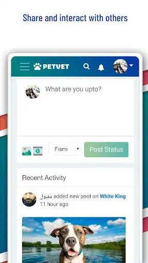 Play Pet Vet Play Pet Vet