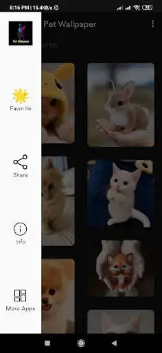 Play Pet Wallpaper Play Pet Wallpaper