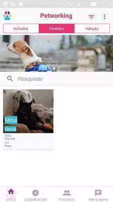 Play Petworking