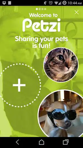 Play Petzi as an online game Petzi with UptoPlay