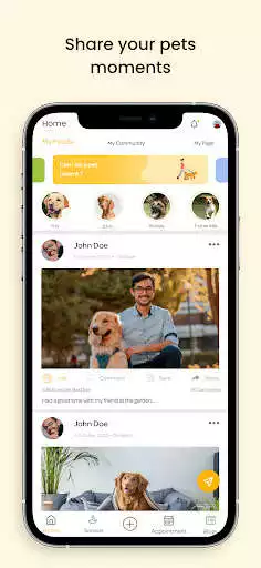 Play Petzzco  and enjoy Petzzco with UptoPlay