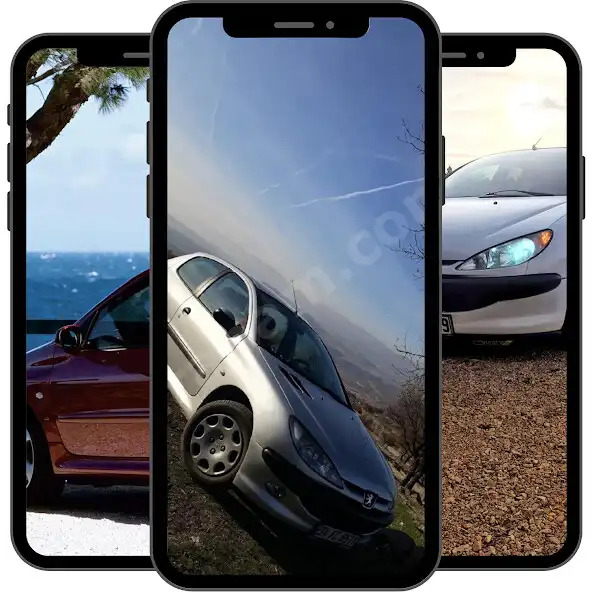 Play Peugeot 206 Wallpapers as an online game Peugeot 206 Wallpapers with UptoPlay