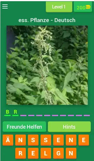 Play Pflanzen - Deutsch  and enjoy Pflanzen - Deutsch with UptoPlay