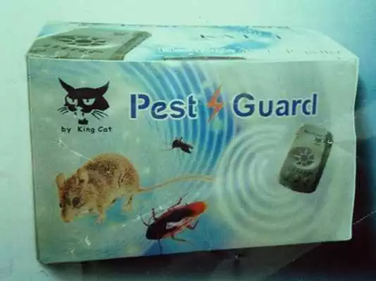 Play PG