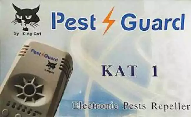 Play PG