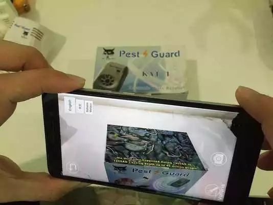 Play PG