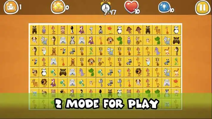 Play Pheasant Bird - Machu Picchu