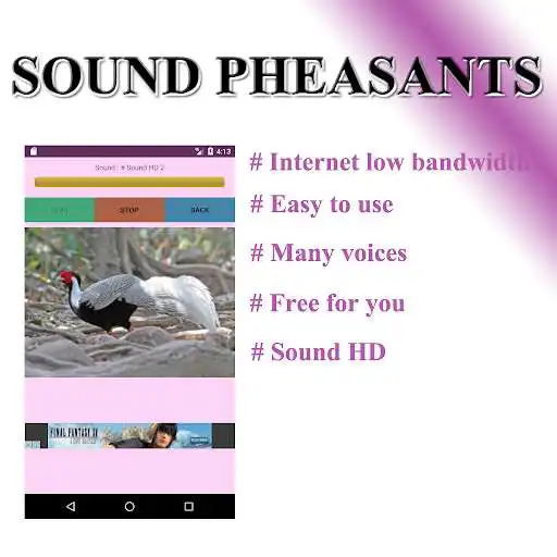 Play Pheasant phonetically as an online game Pheasant phonetically with UptoPlay