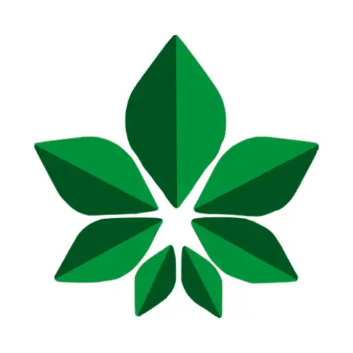 Play PhenoHunt: Cannabis Classifier APK Play PhenoHunt: Cannabis Classifier APK