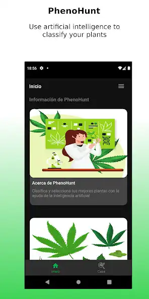 Play PhenoHunt: Cannabis Classifier  and enjoy PhenoHunt: Cannabis Classifier with UptoPlay