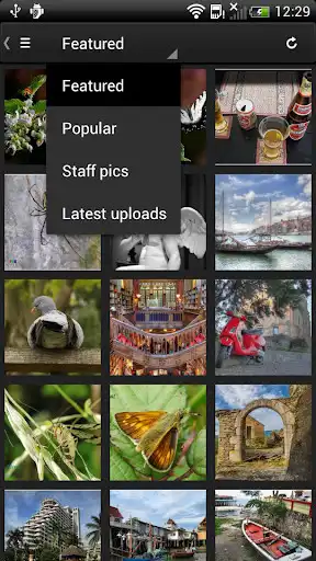 Play Phereo 3D Photo  and enjoy Phereo 3D Photo with UptoPlay