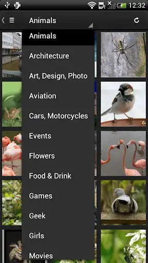 Play Phereo 3D Photo as an online game Phereo 3D Photo with UptoPlay