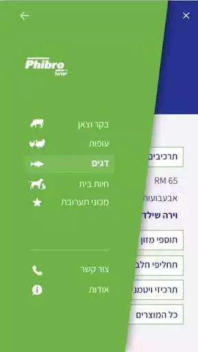 Play Phibro as an online game online Phibro with UptoPlay Play Phibro as an online game Phibro with UptoPlay