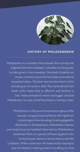 Play Philodendron Ornamental Plant Guide as an online game Philodendron Ornamental Plant Guide with UptoPlay