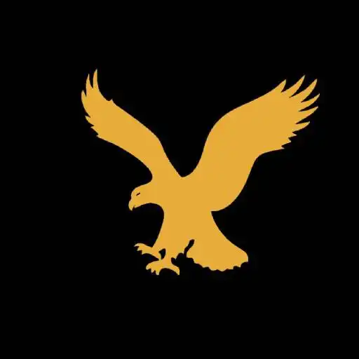 Play Phoenix Diseno APK Play Phoenix Diseno APK