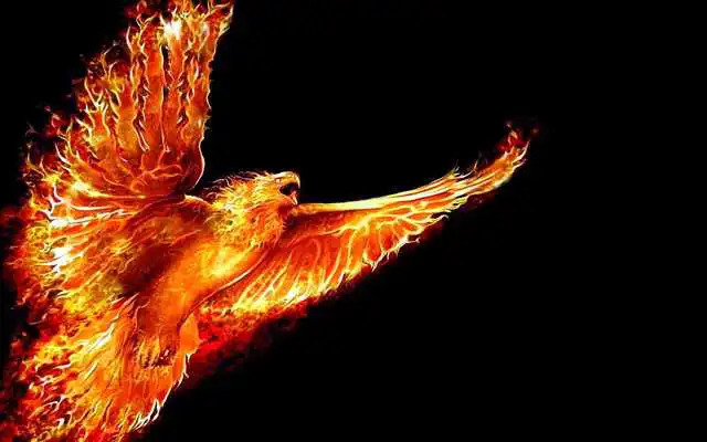 Play Phoenix HD Live Wallpaper